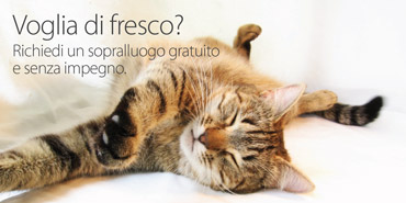 Duegi Impianti Sopralluogo Gratuito
